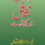 Har Shaks Apne Nas-e-Amal Mein Giraftar Hai