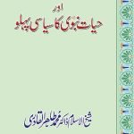 Tasawwur-e-Deen Aur Hayat-e-Nabvi Ka Siyasi Pehlu
