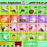 Arbi Alphabet Card (Takhti)
