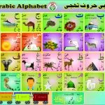 Arabic Alphabet Card (Takhti)