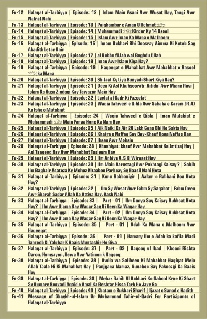 AFP-27-Pen drive cover - majalis-ul ilm - halaqat al - tarbiyaa - 4