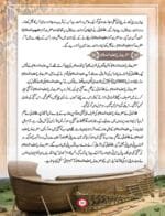 Noor-e-Islam Class-2 (Urdu) - Image 10