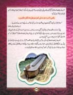 Noor-e-Islam Class-3 (Urdu) - Image 8