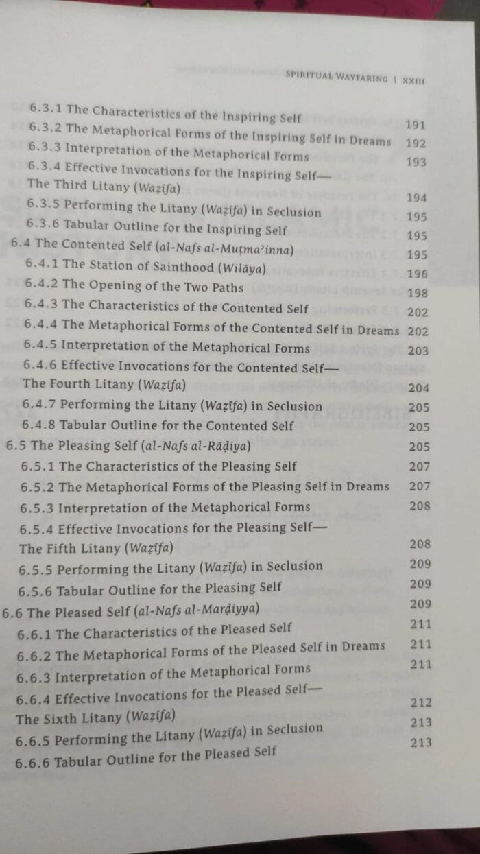 A PRACTICAL GUIDE TO SPIRITUAL WAYFARING - Image 8