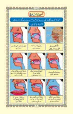 Minhaj Noorni Qaida  (Medium Size 4 Color) - Image 2