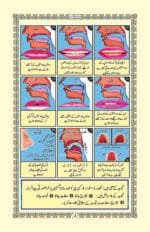 Minhaj Noorni Qaida  (Medium Size Colorfull) - Image 3