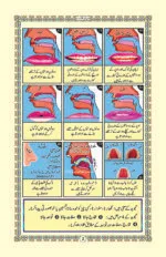 Minhaj Noorni Qaida  (Medium Size 4 Color) - Image 3