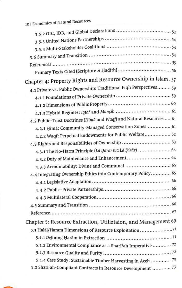 Economics of Natural Resources (An Islamic Perspective) (English) - Image 3