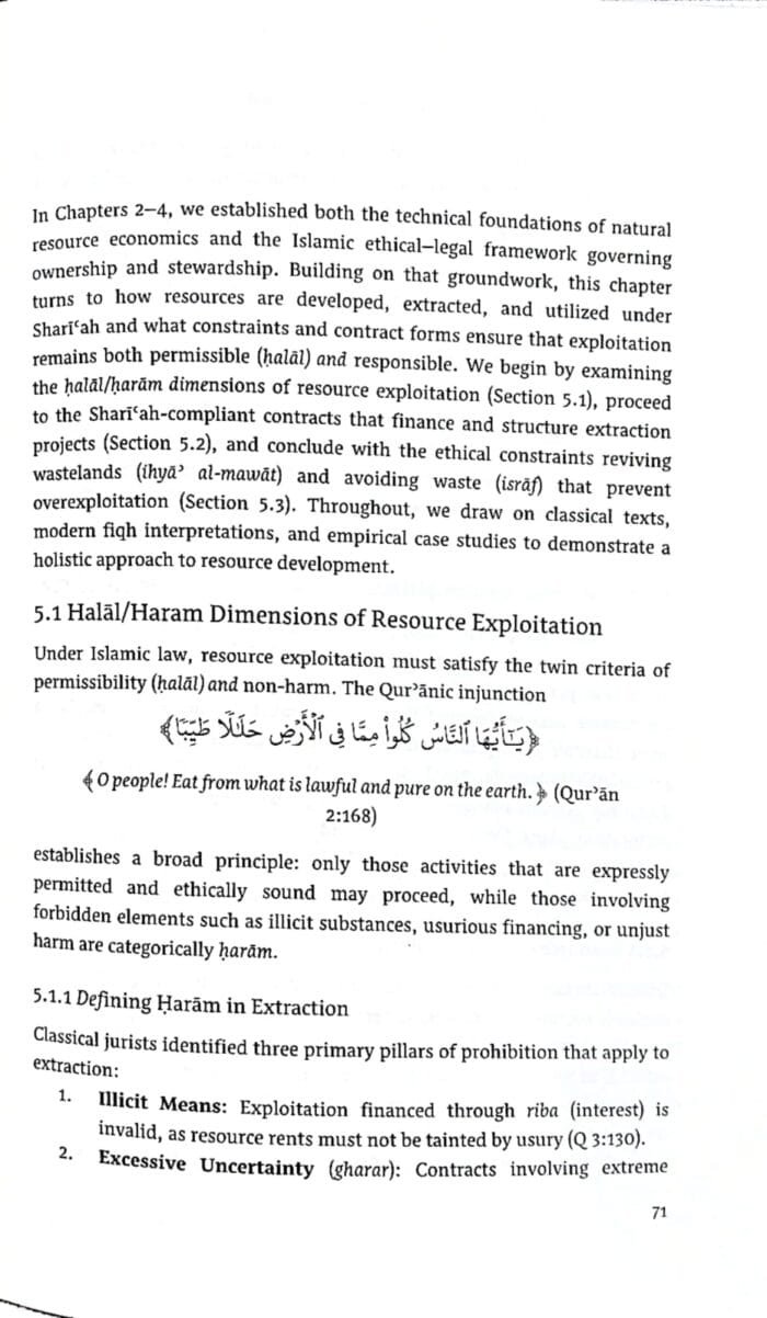 Economics of Natural Resources (An Islamic Perspective) (English) - Image 7