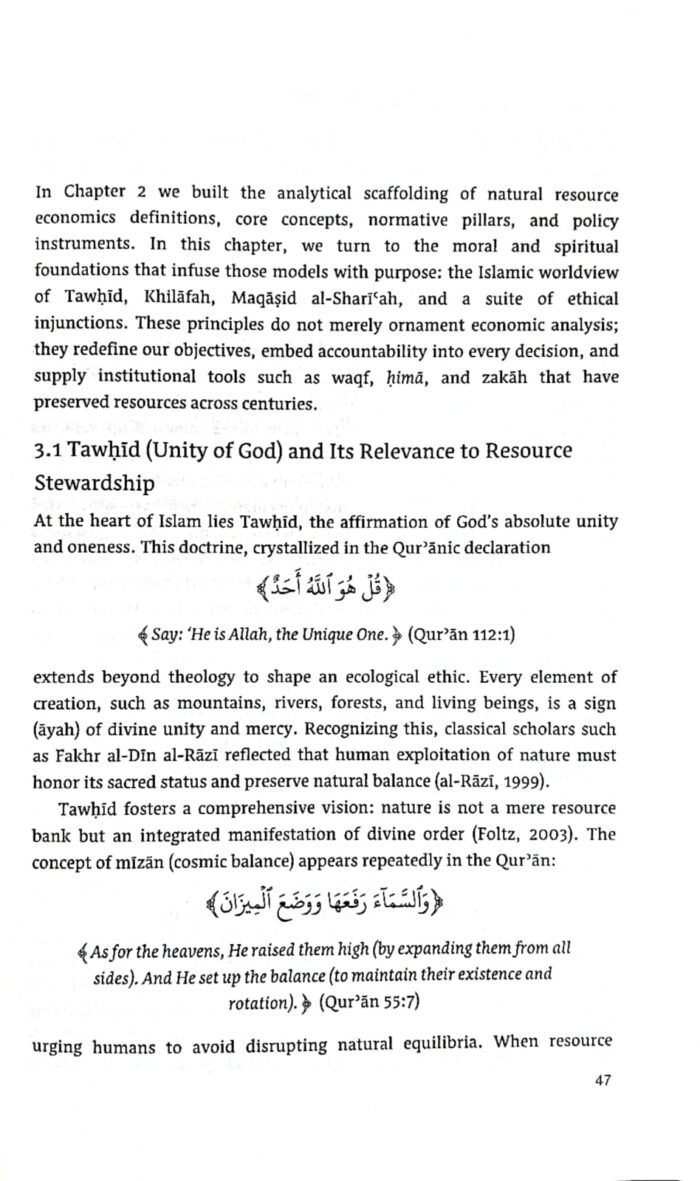 Economics of Natural Resources (An Islamic Perspective) (English) - Image 6