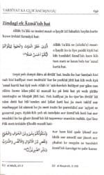 Tarbiyat Ka Qurani Minhaj (Roman Urdu) - Image 4