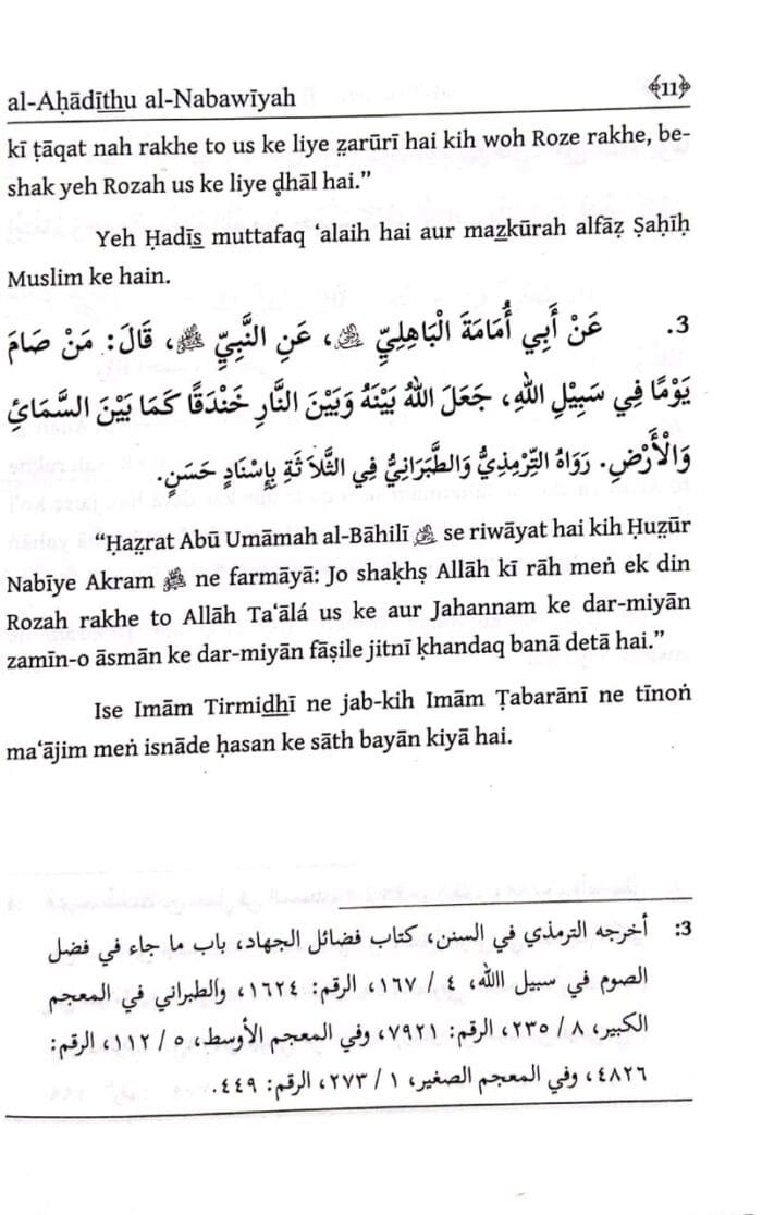 Arbaeen : Nafli Rozo Ke Fazail (Roman Urdu) - Image 3