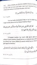 Arbaeen : Sahabae Kiram ke Natiyar Kalam se Intikhab) (Roman Urdu) - Image 3
