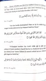 Arbaeen : Sahabae Kiram ke Natiyar Kalam se Intikhab) (Roman Urdu) - Image 3