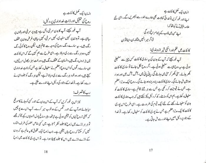 Insaan Ek Mukammal Kainat Hai (Urdu) - Image 5