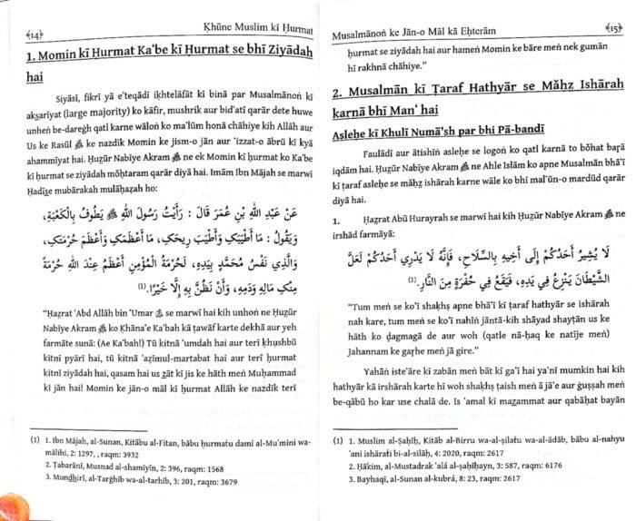 Khune Muslim Ki Hurmat (Roman Urdu) - Image 5