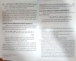 Islami Riyasat men Ghair-Muslim ke Jan o mal ki Tahaffuz (Roman Urdu) - Image 7